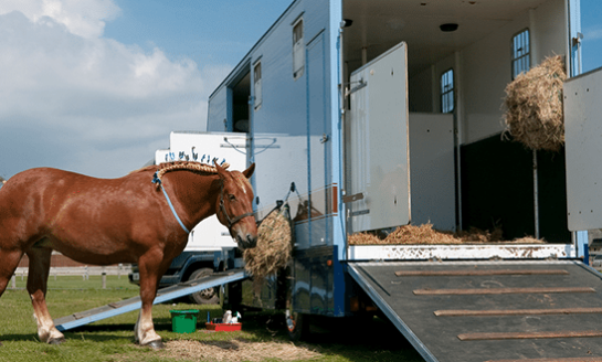 Horsebox & Trailer Insurance